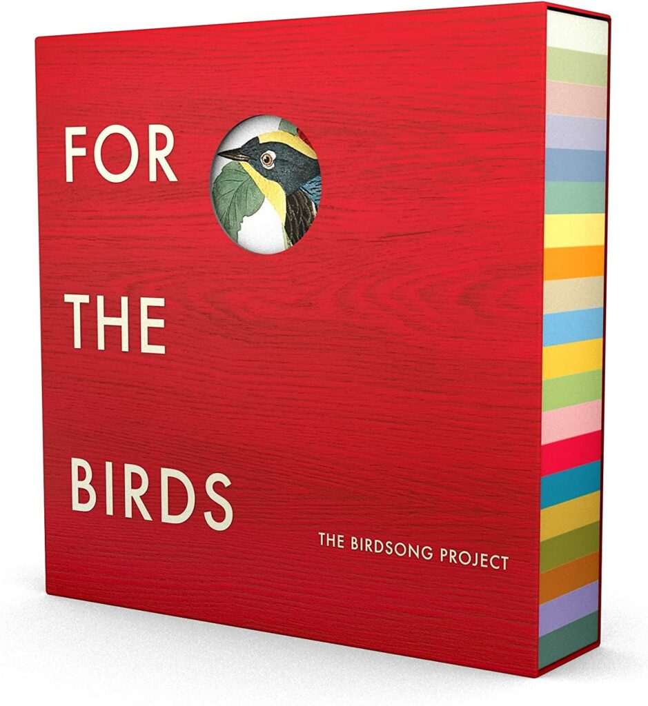 the-birdsong-project-for-the-birds-vinile-cofanetto-black-friday-amazon